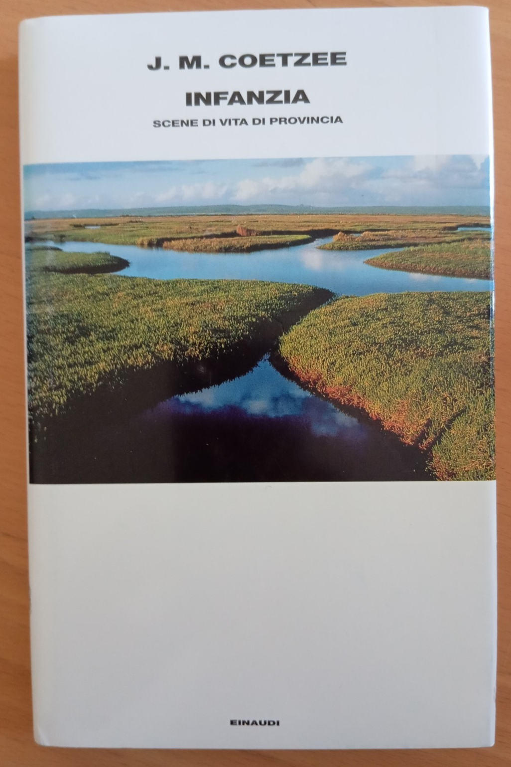 Infanzia. Scene di vita di provincia, J. M. Coetzee, Einaudi, …