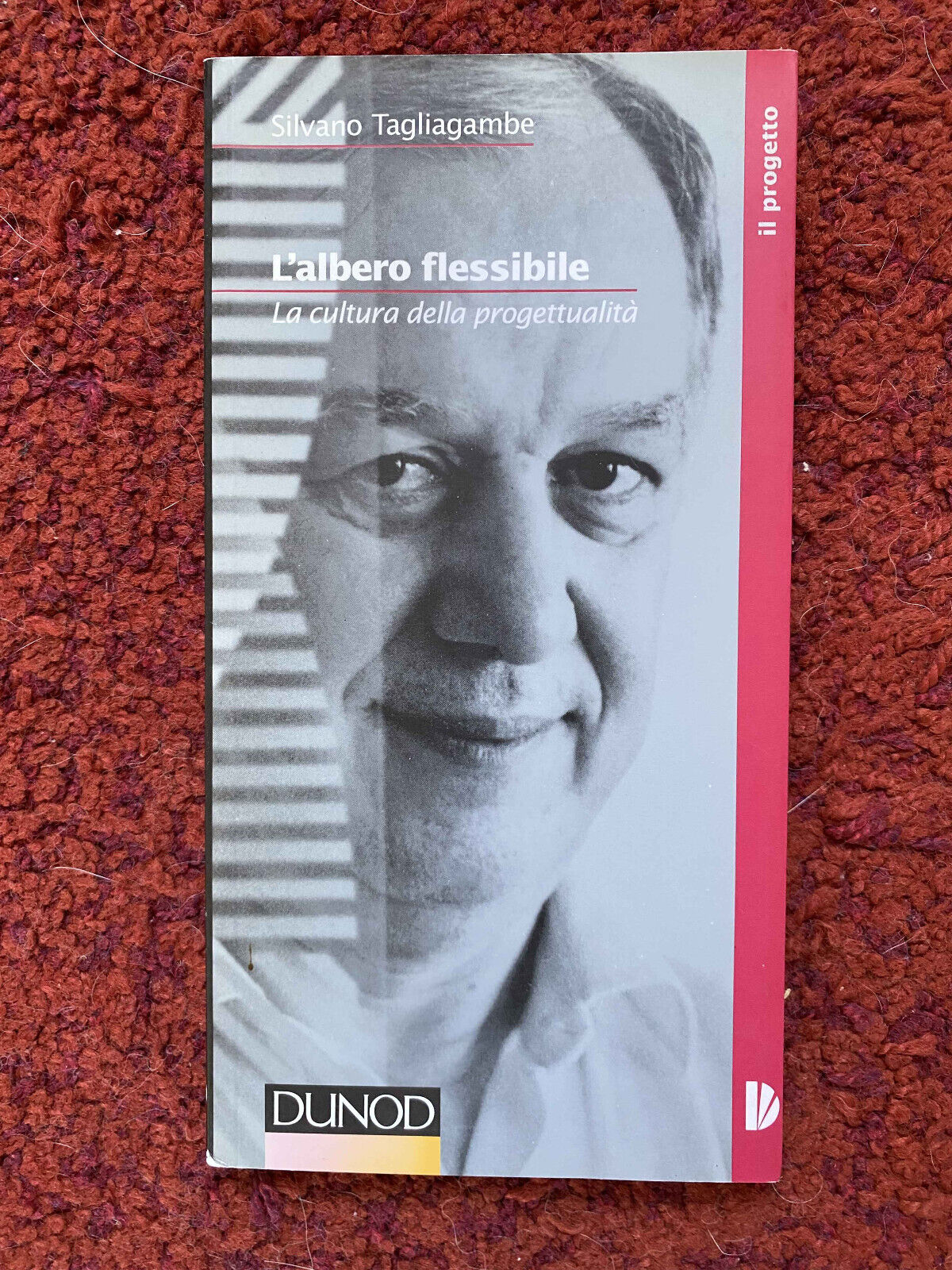 L'albero flessibile. La cultura della progettualità, Silvano Tagliagambe, 1997