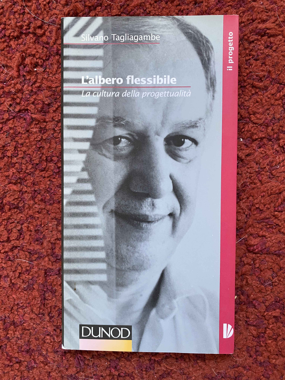 L'albero flessibile. La cultura della progettualità, Silvano Tagliagambe, 1997