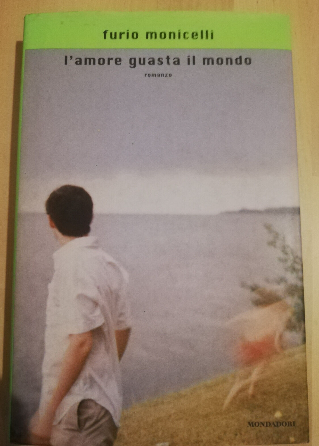 L'amore guasta il mondo, Furio Monicelli, 2000, Mondadori