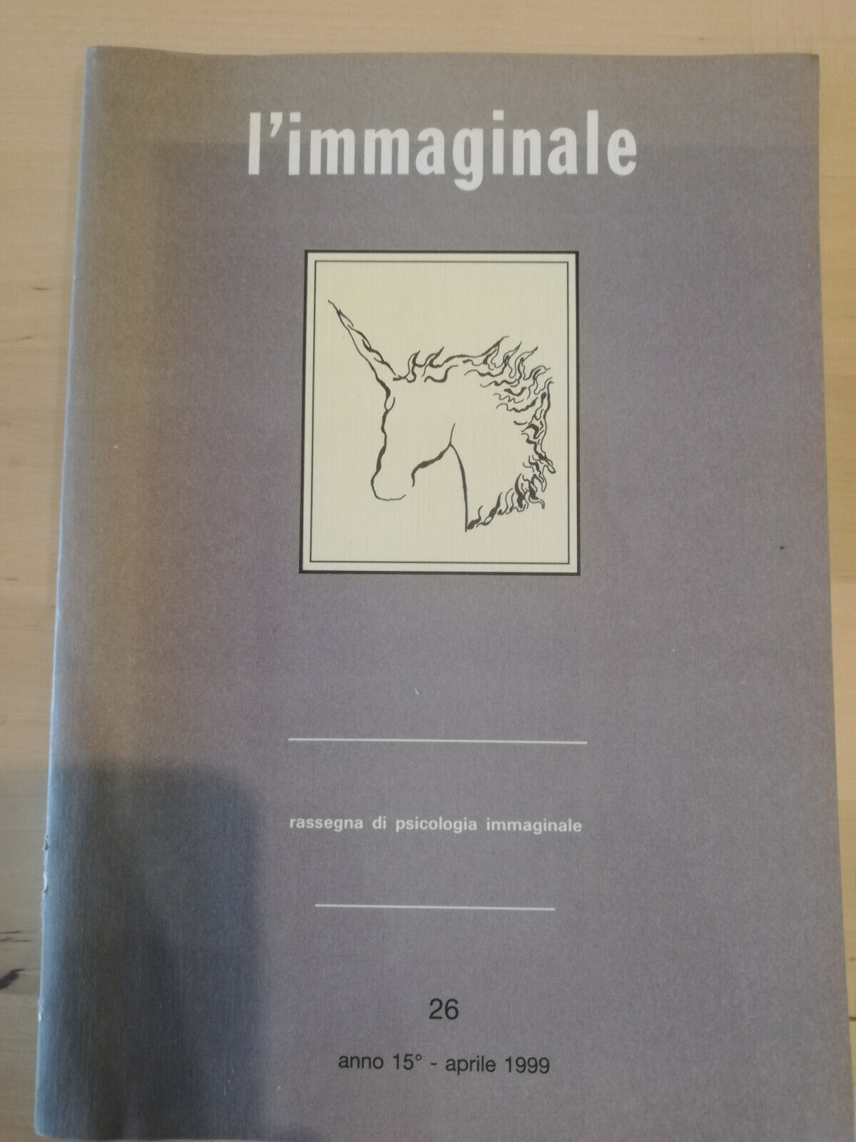 L'immaginale, numero 26, 1999