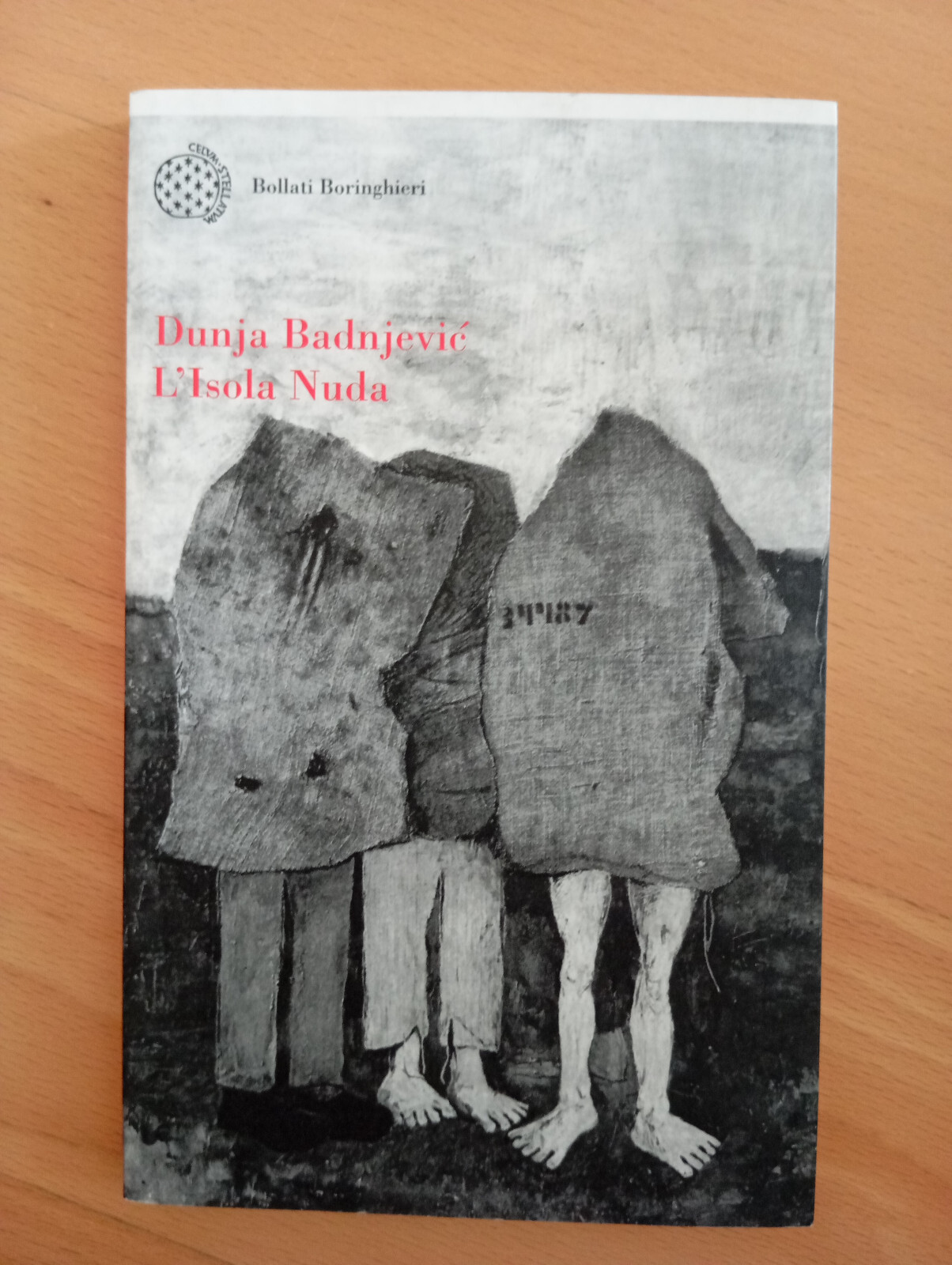 L'isola nuda, Dunja Badnjevic, Bollati Boringhieri, 2008