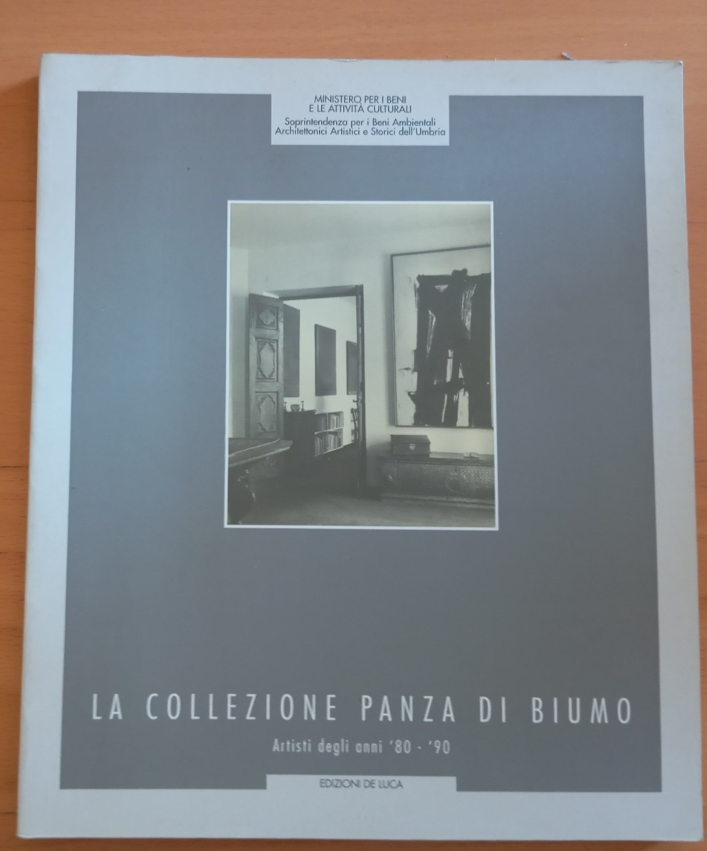 La collezione Panza di Biumo. Artisti degli anni '80 - …