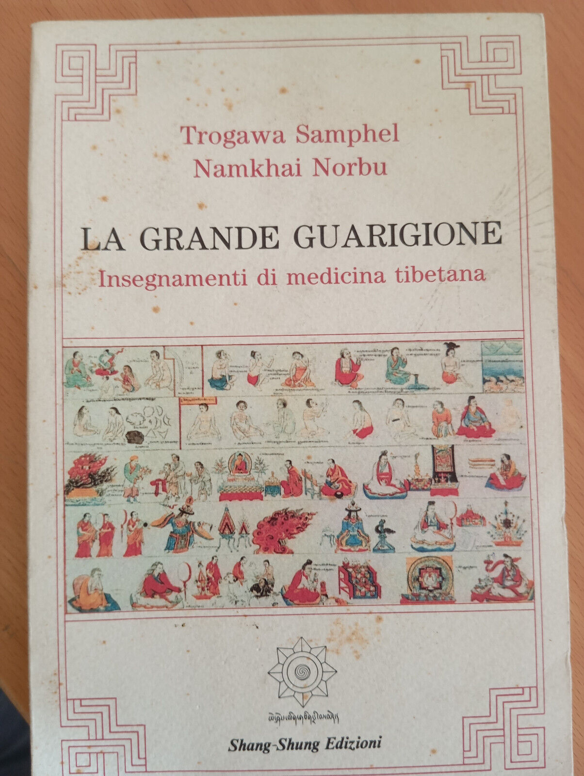 La grande guarigione Insegnamenti di medicina tibetana, T. Samphel N. …