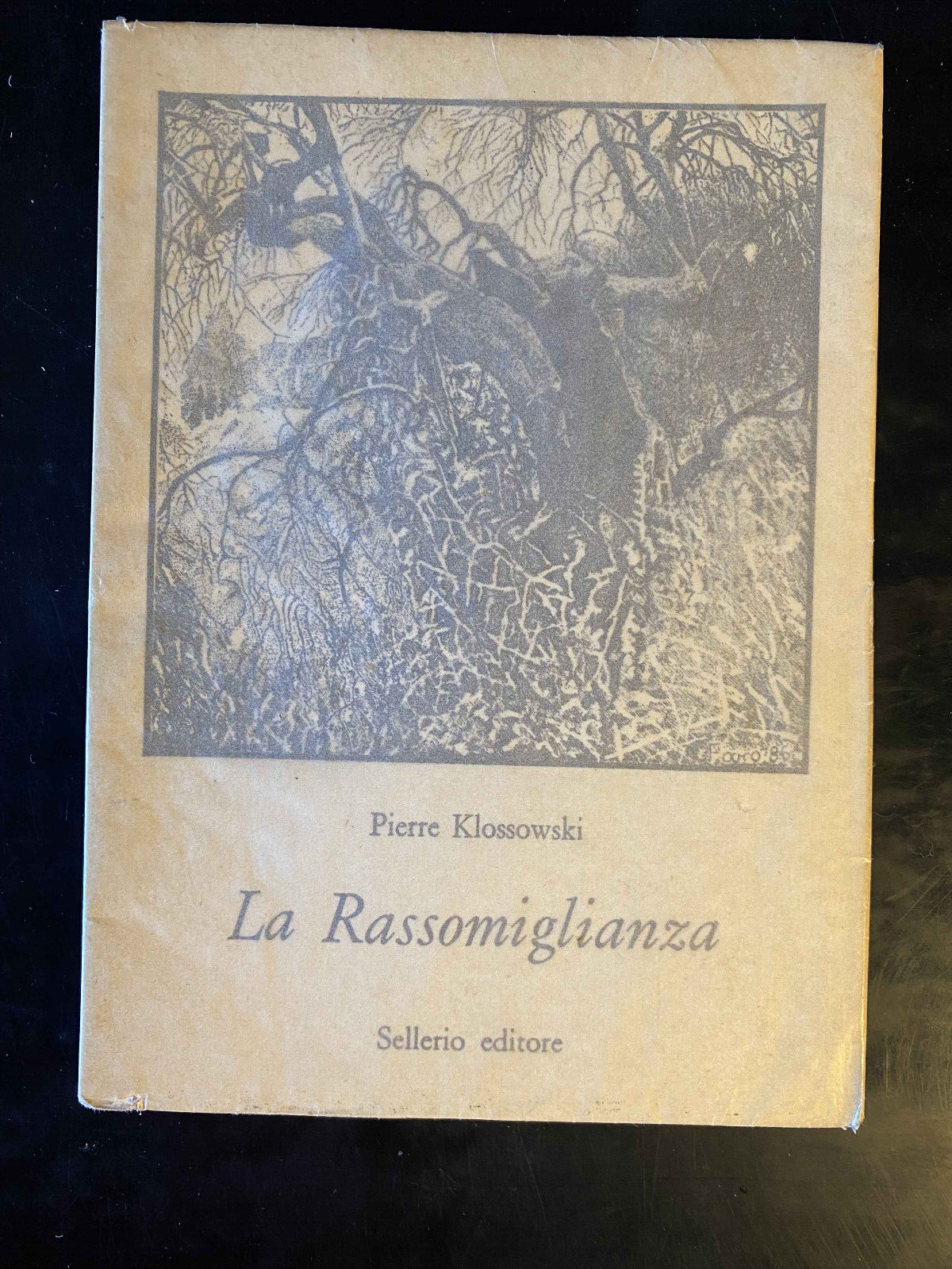 La Rassomiglianza, Pierre Klossowski, 1987, Sellerio, bellissmo