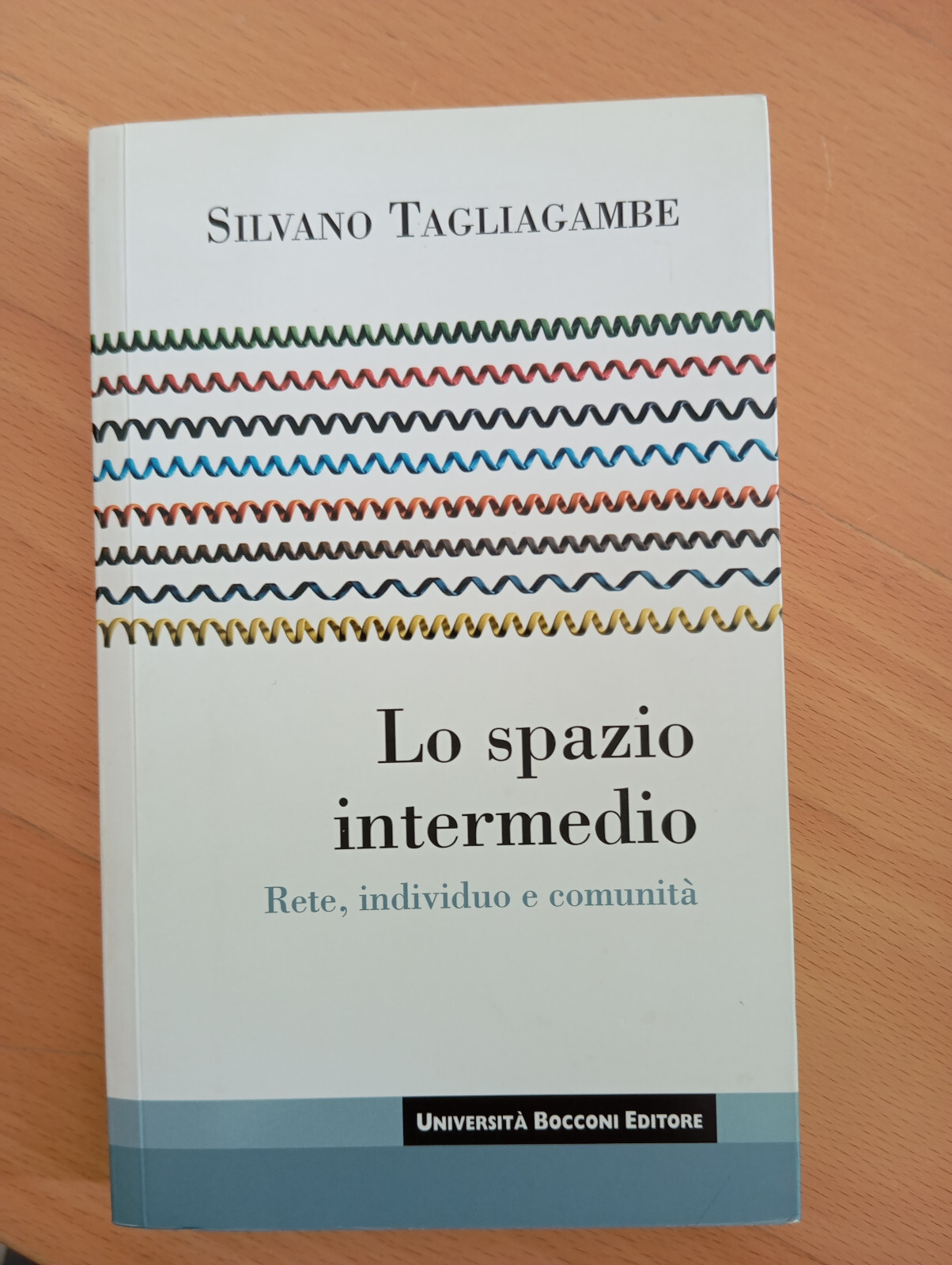 Lo spazio intermedio. Rete, individuo, comunità, Silvano Tagliagambe, EGEA, 2008