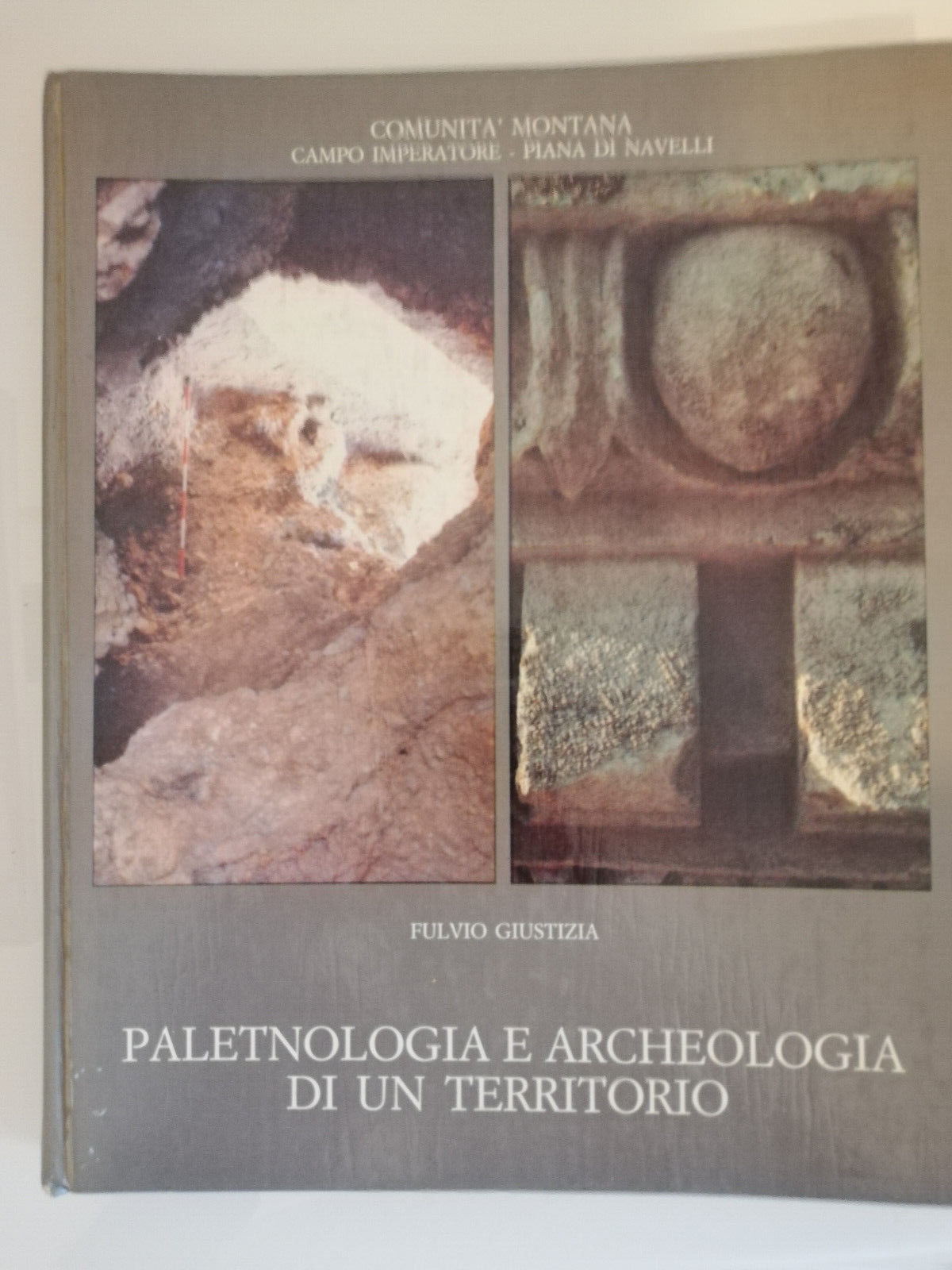 Paletnologia e archeologia di un territorio, Fulvio Giustizia, 1985, De …