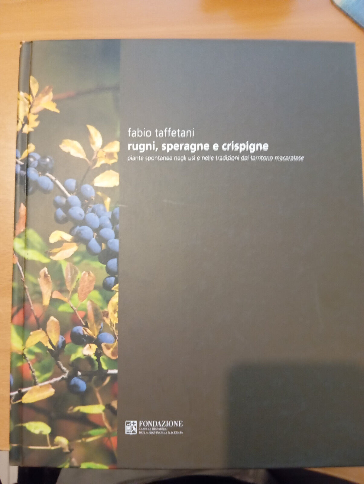 Rugni, speragne e crispigne, Fabio Taffetani, Macerata, 2005