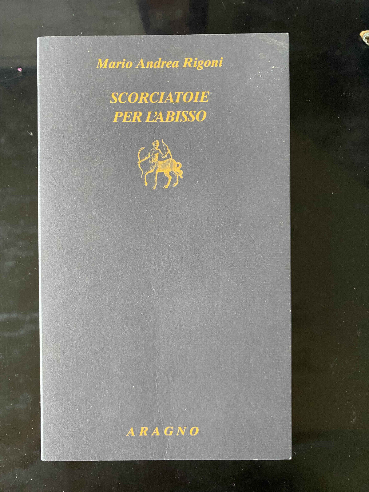 Scorciatoie per l'abisso, Mario Andrea rigoni, Aragno, 2015, fuori catalogo