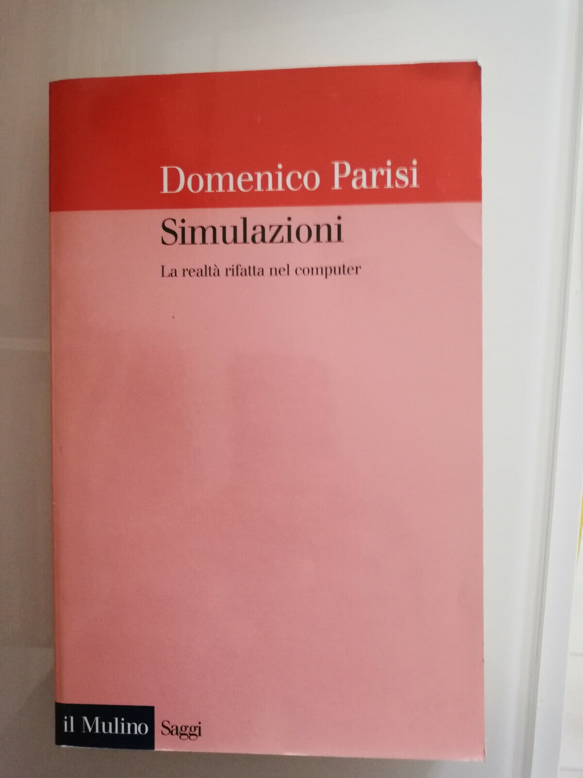 Simulazioni. La realtà rifatta nel computer, D. Parisi, 2001, Nuovo, …