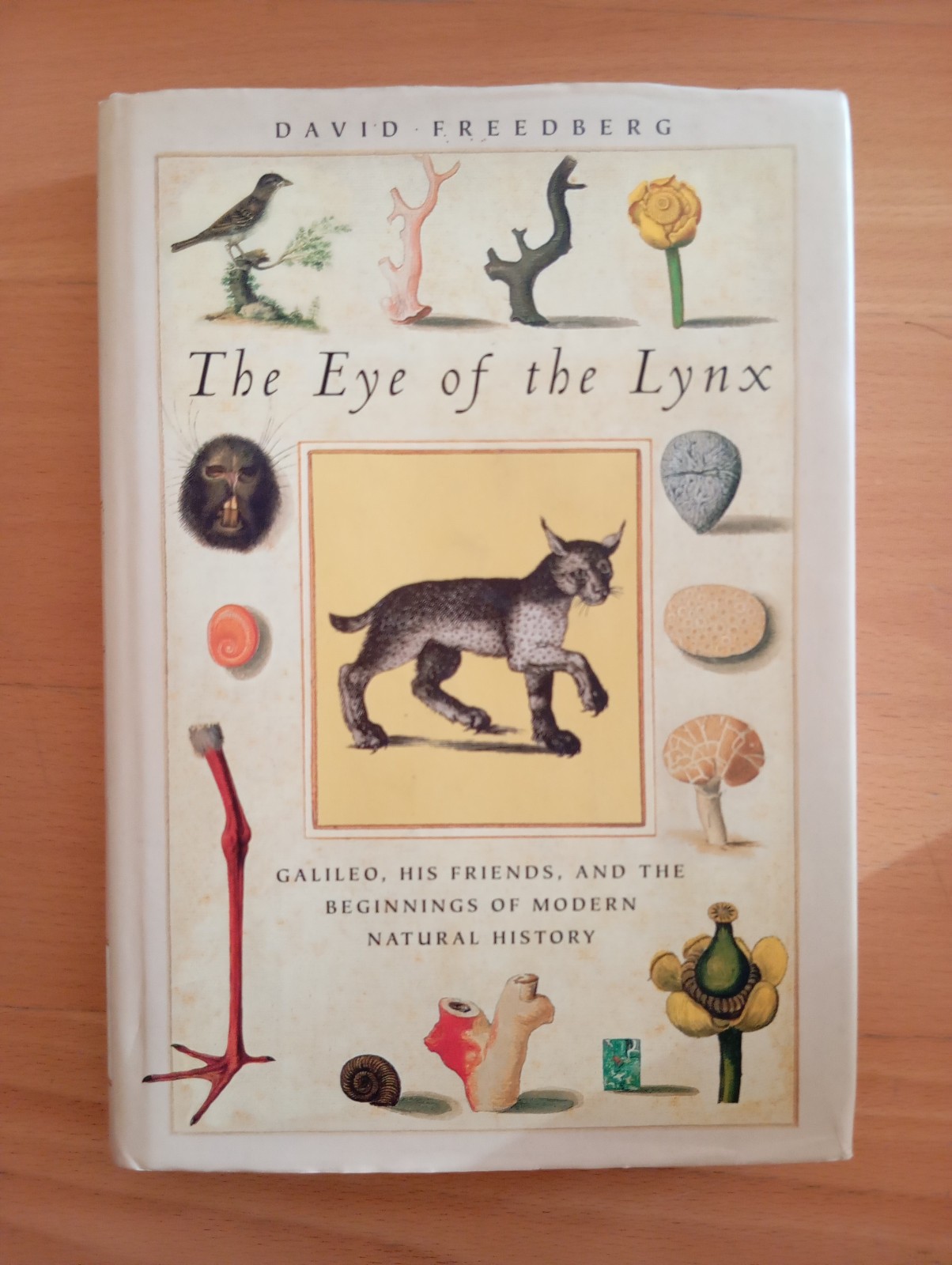 The eye of the Linx, David Freedberg, Chicago press, 2002, …