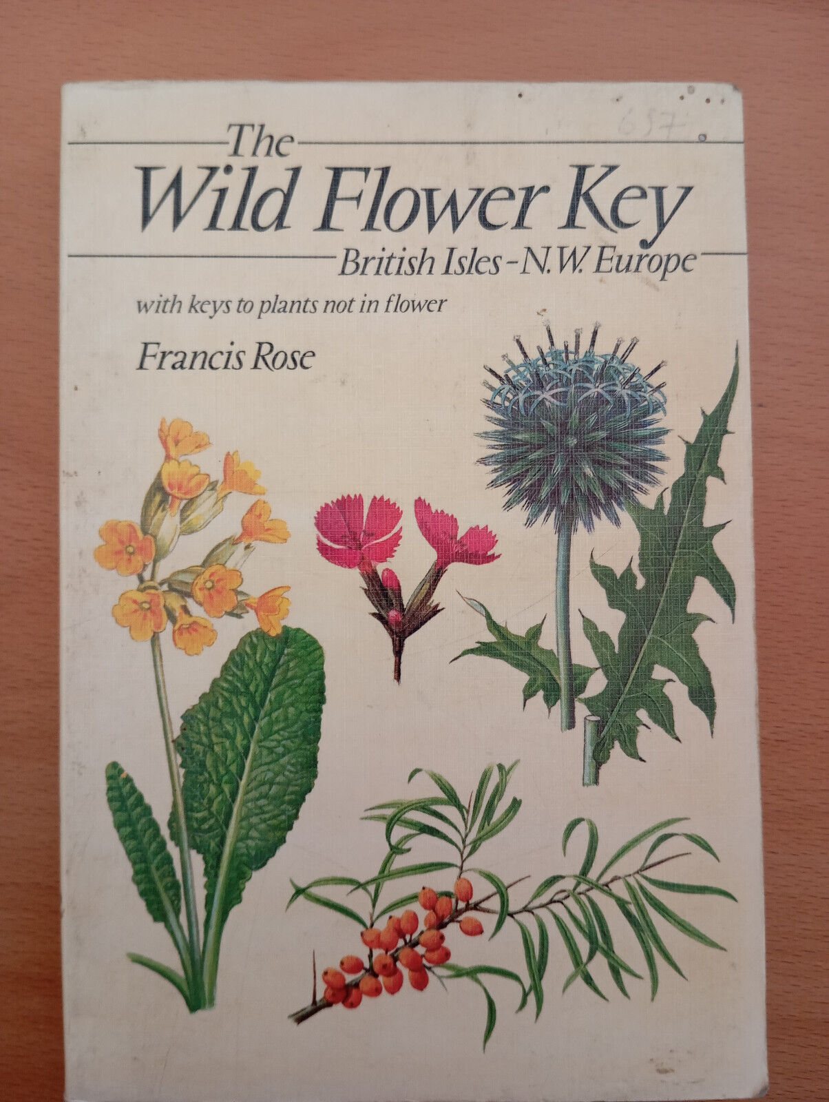 The Wild Flower Key: A Guide to Identification in the …