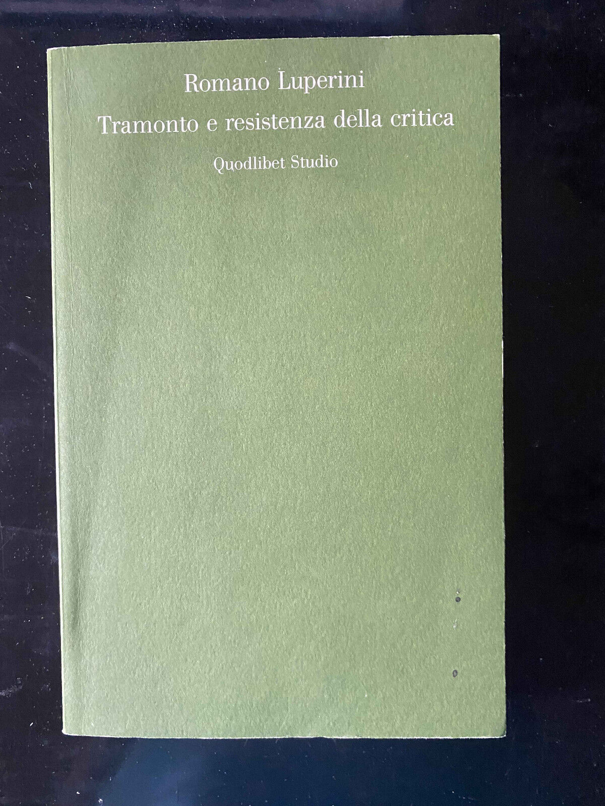 Tramonto e resistenza della critica, Romano Luperini, Quodlibet, 2013, RARO