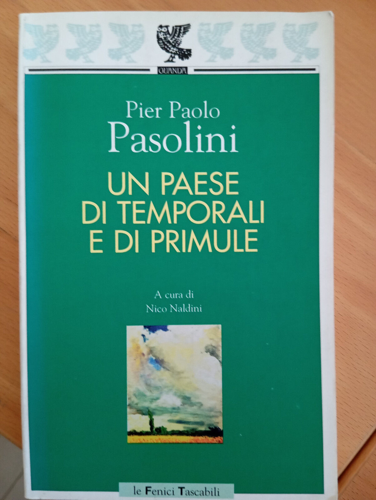 Un paese di temporali e di primule, Pier Paolo Pasolini, …