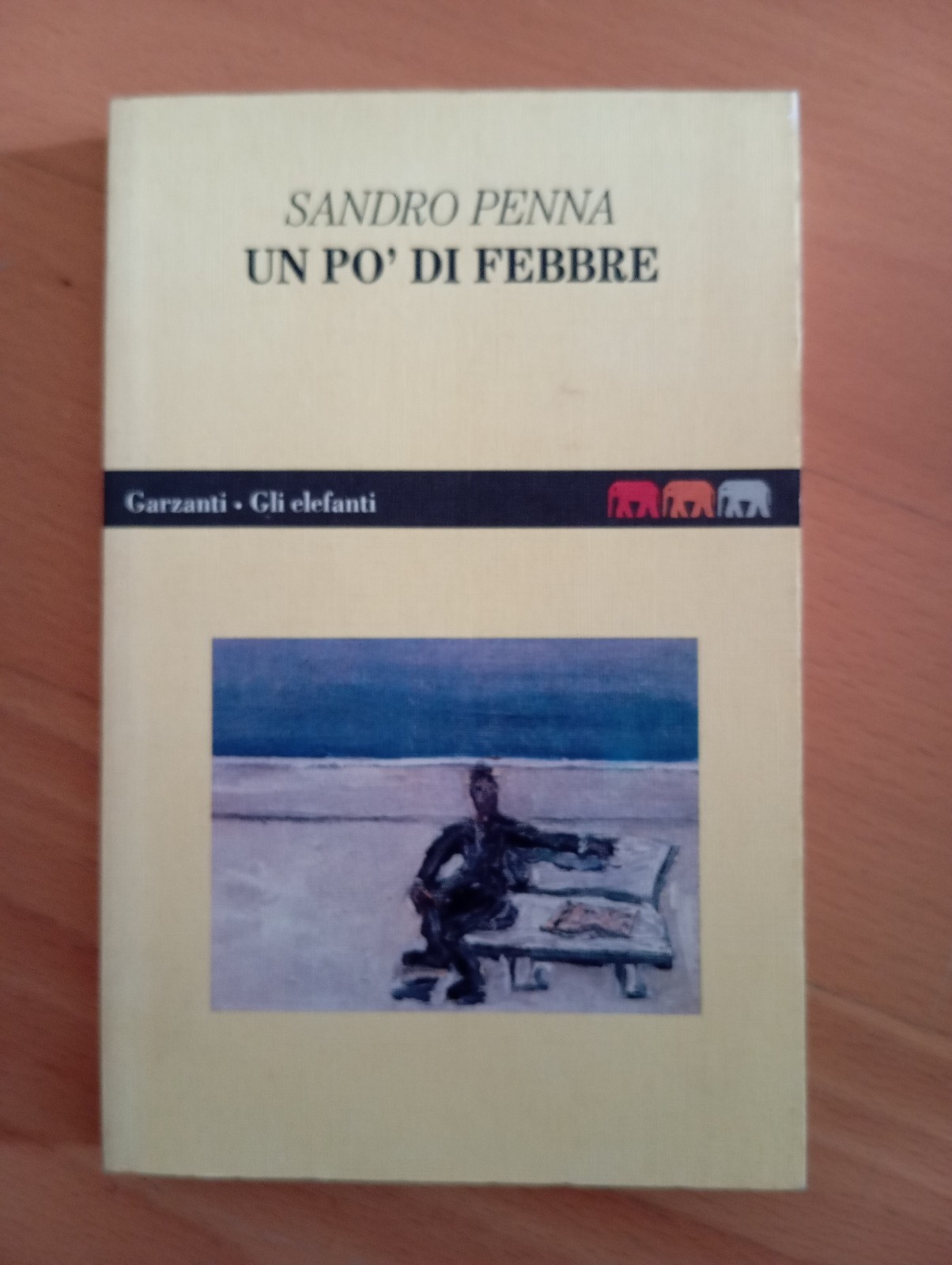 Un po' di febbre, Sandro Penna, Garzanti, 1994
