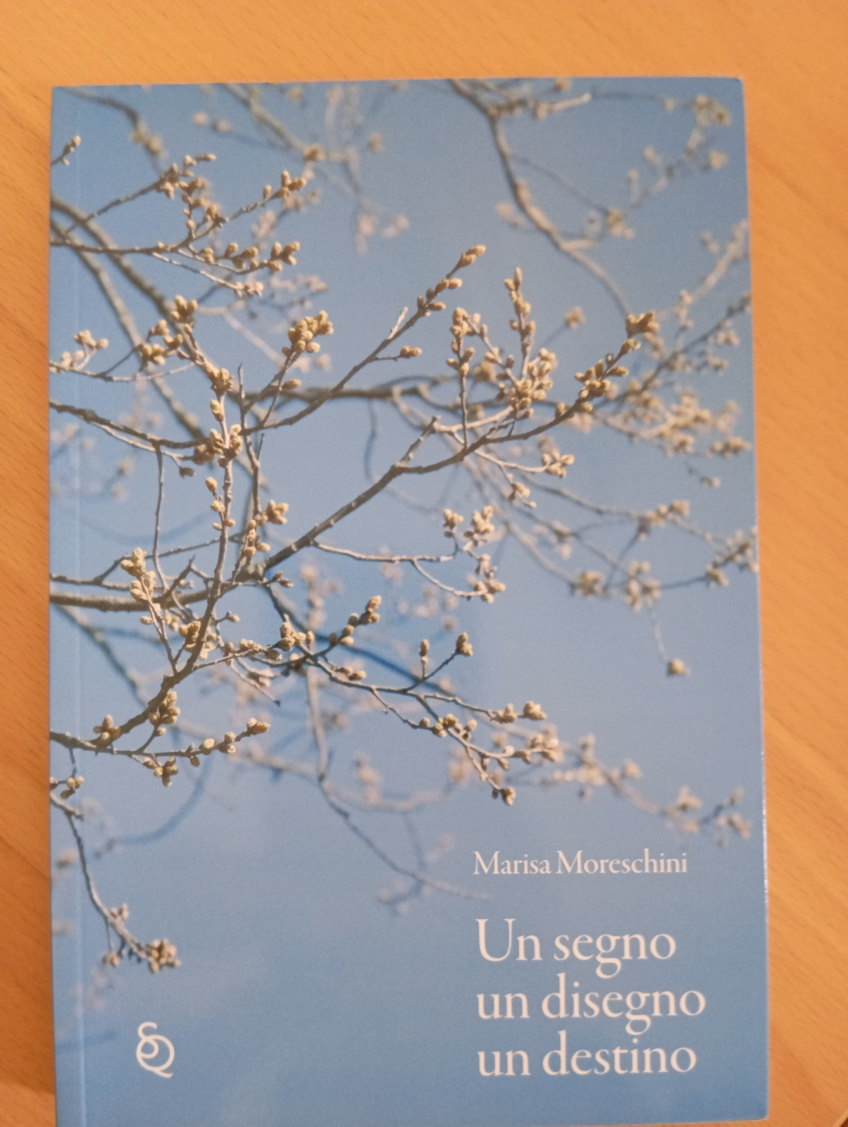 Un segno un disegno un destino, Marisa Moreschini, 2011