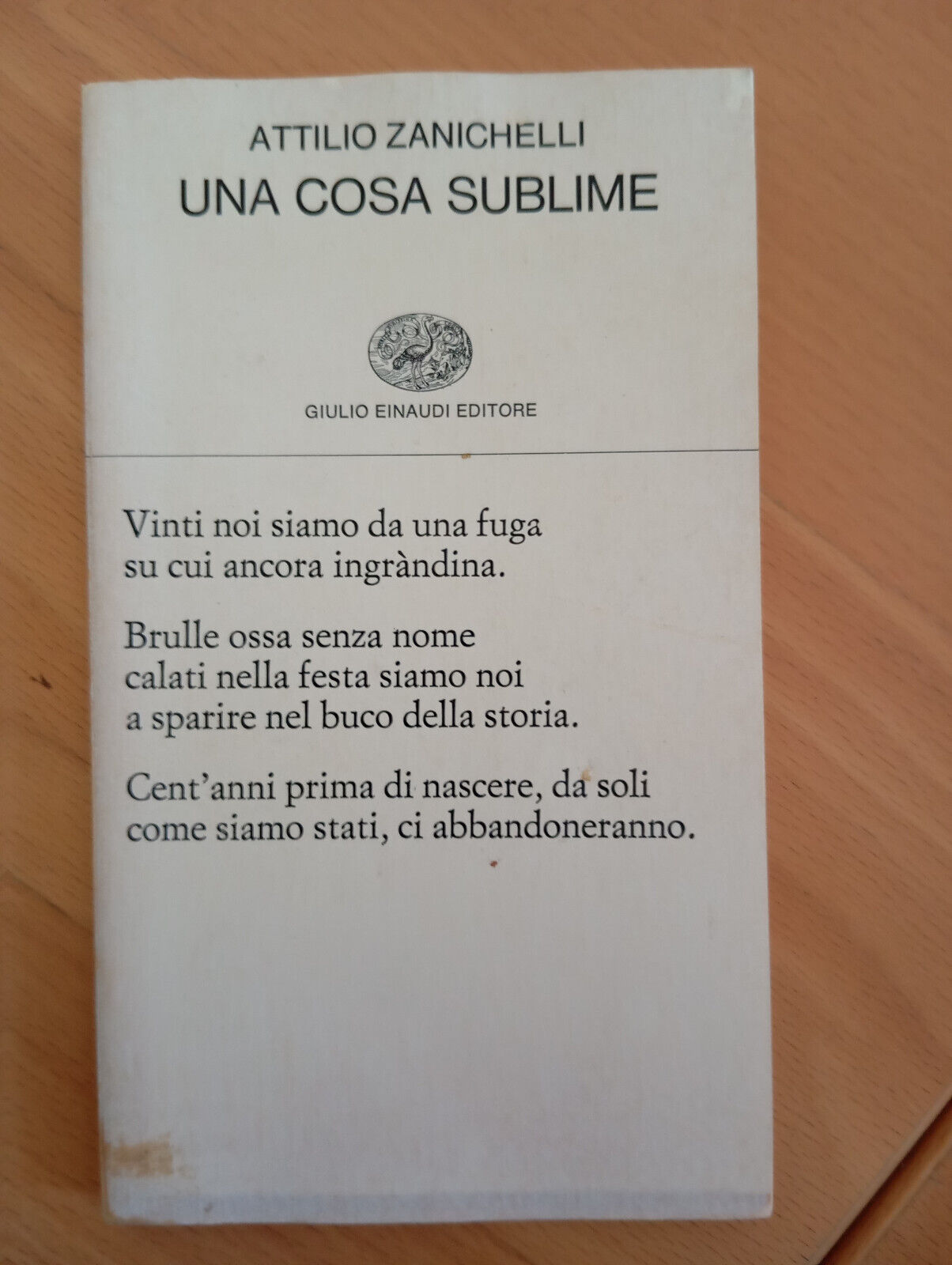 Una cosa sublime, Attilio Zanichelli, Einaudi, 1982, Fuori catalogo