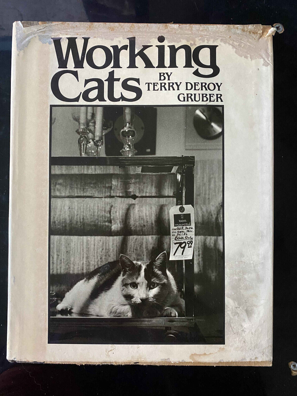 Working cats, Terry Deroy Gruber, 1983, in inglese