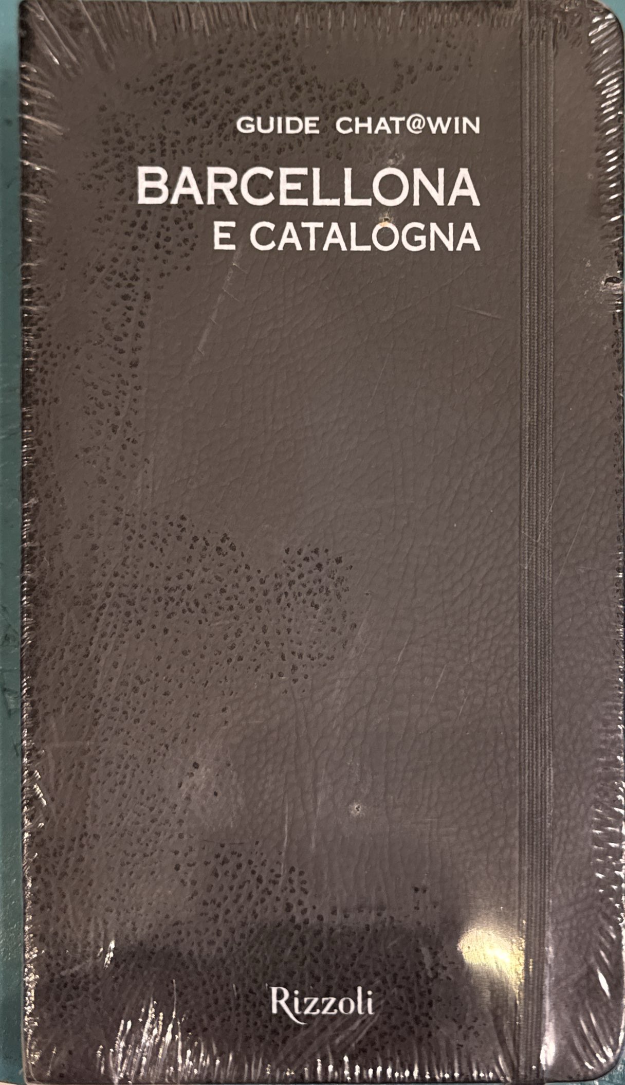 Barcellona e Catalogna. Guide Chat@win. Con cartina