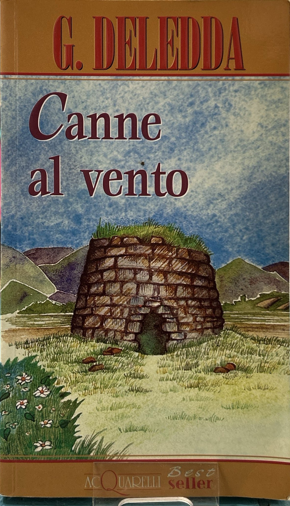 Canne al vento