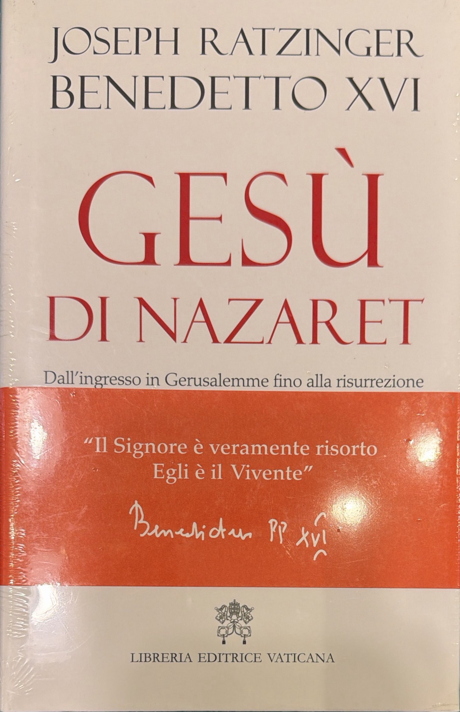 Gesù di Nazareth - Dall'ingresso in Gerusalemme fino alla risurrezione