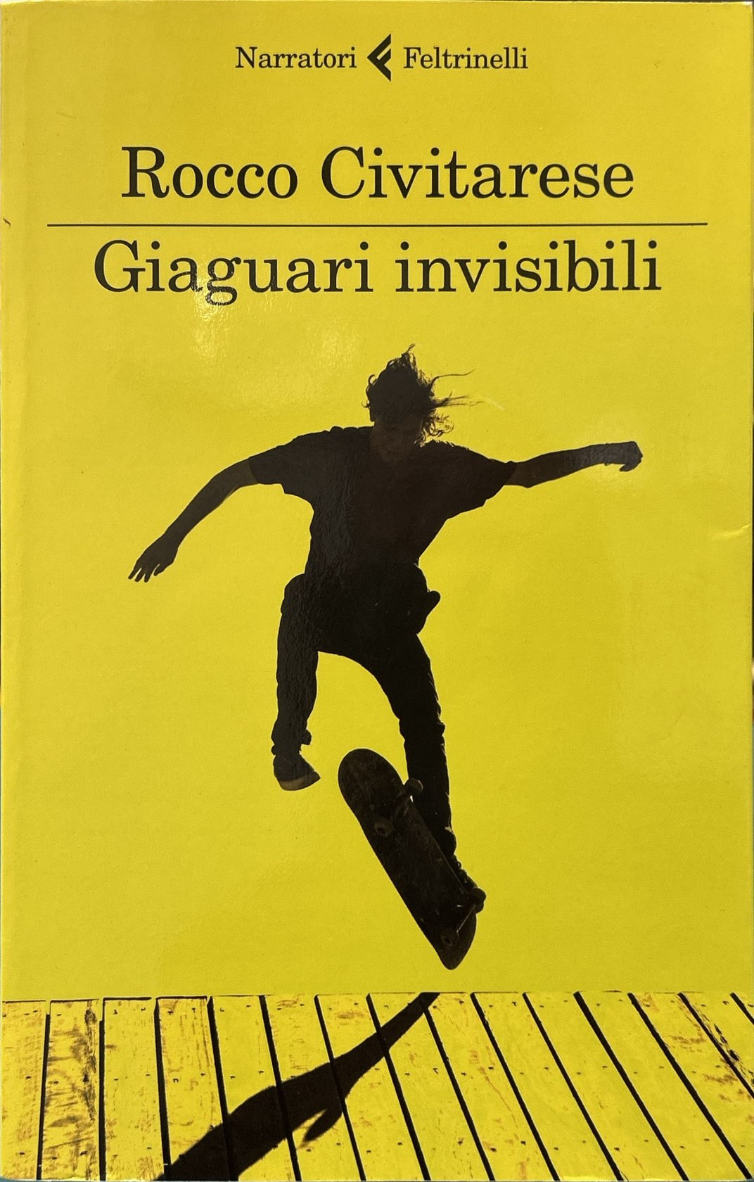 Giaguari invisibili