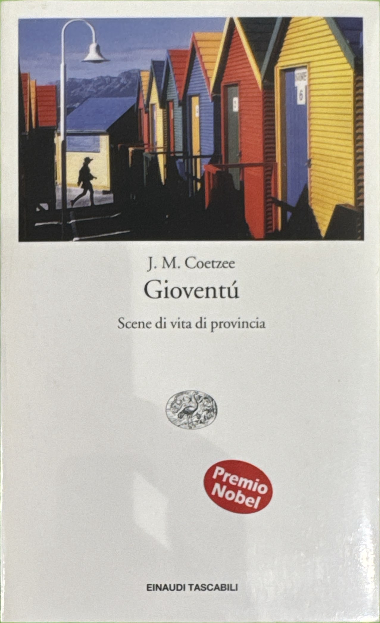 Gioventú: scene di vita di provincia