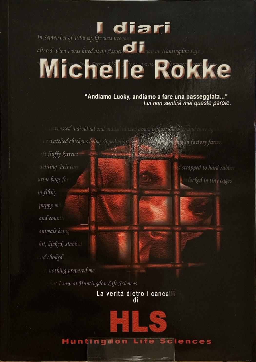I diari di Michelle Rokke