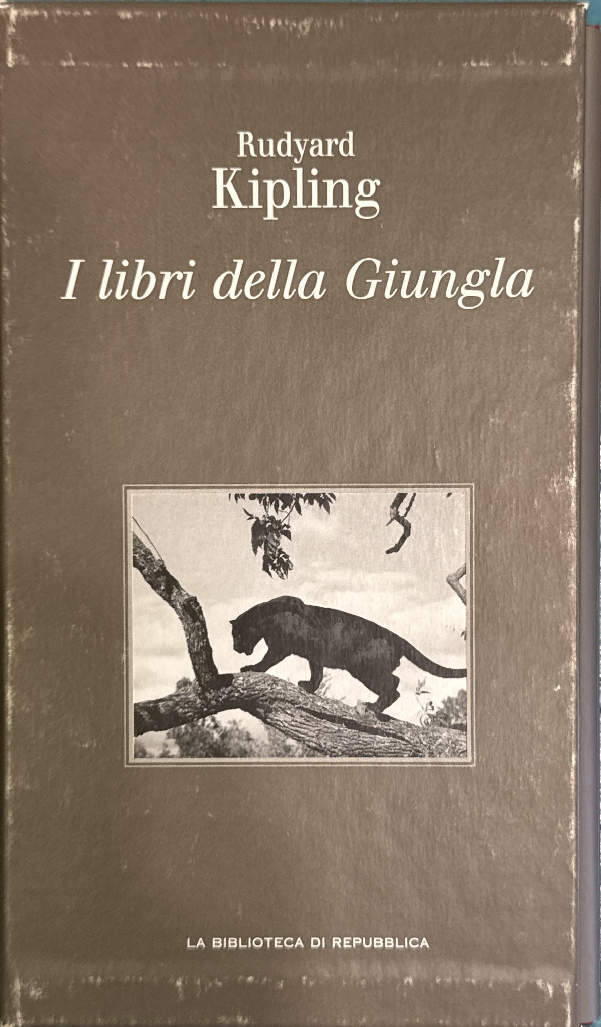 I libri della giungla