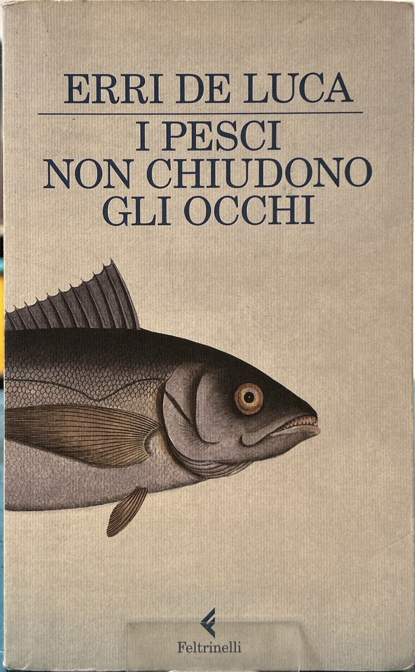 I pesci non chiudono gli occhi