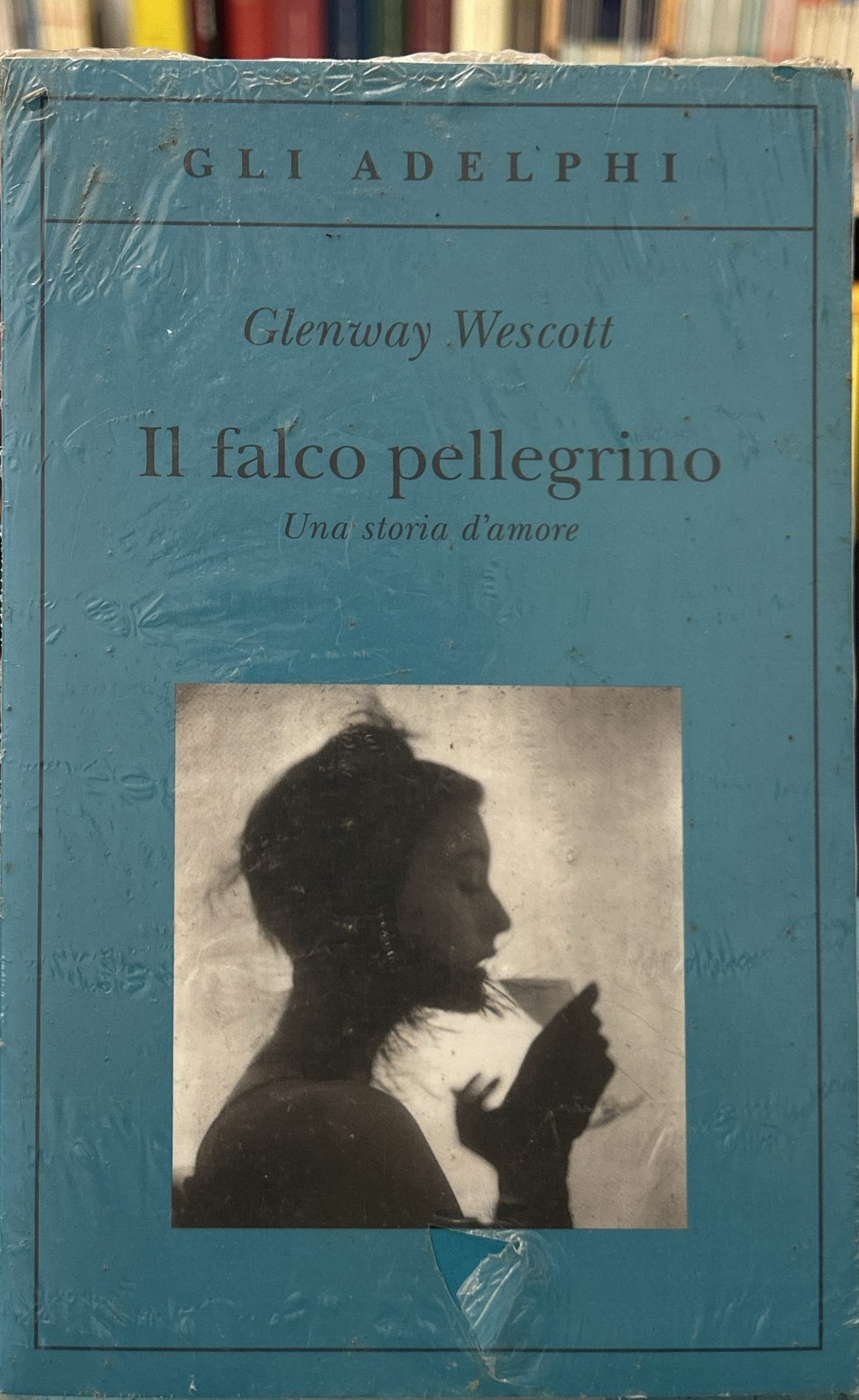 Il falco pellegrino. Una storia d'amore