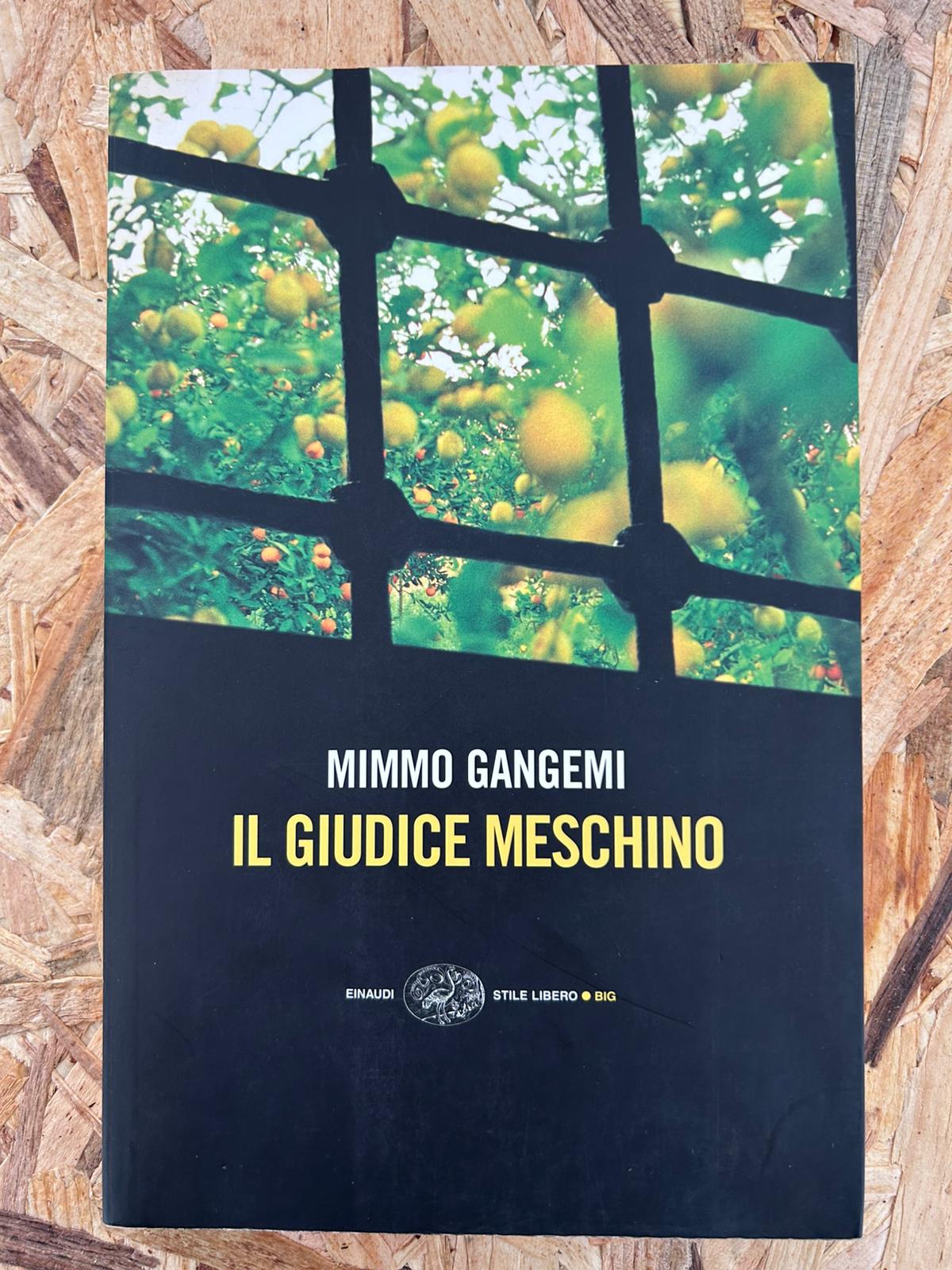 Il giudice meschino