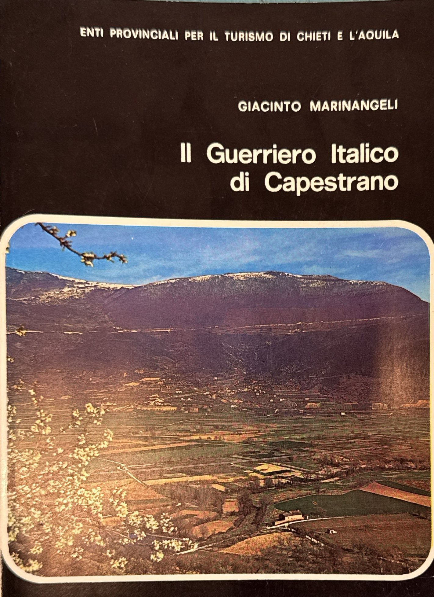 Il guerriero italico di Capestrano