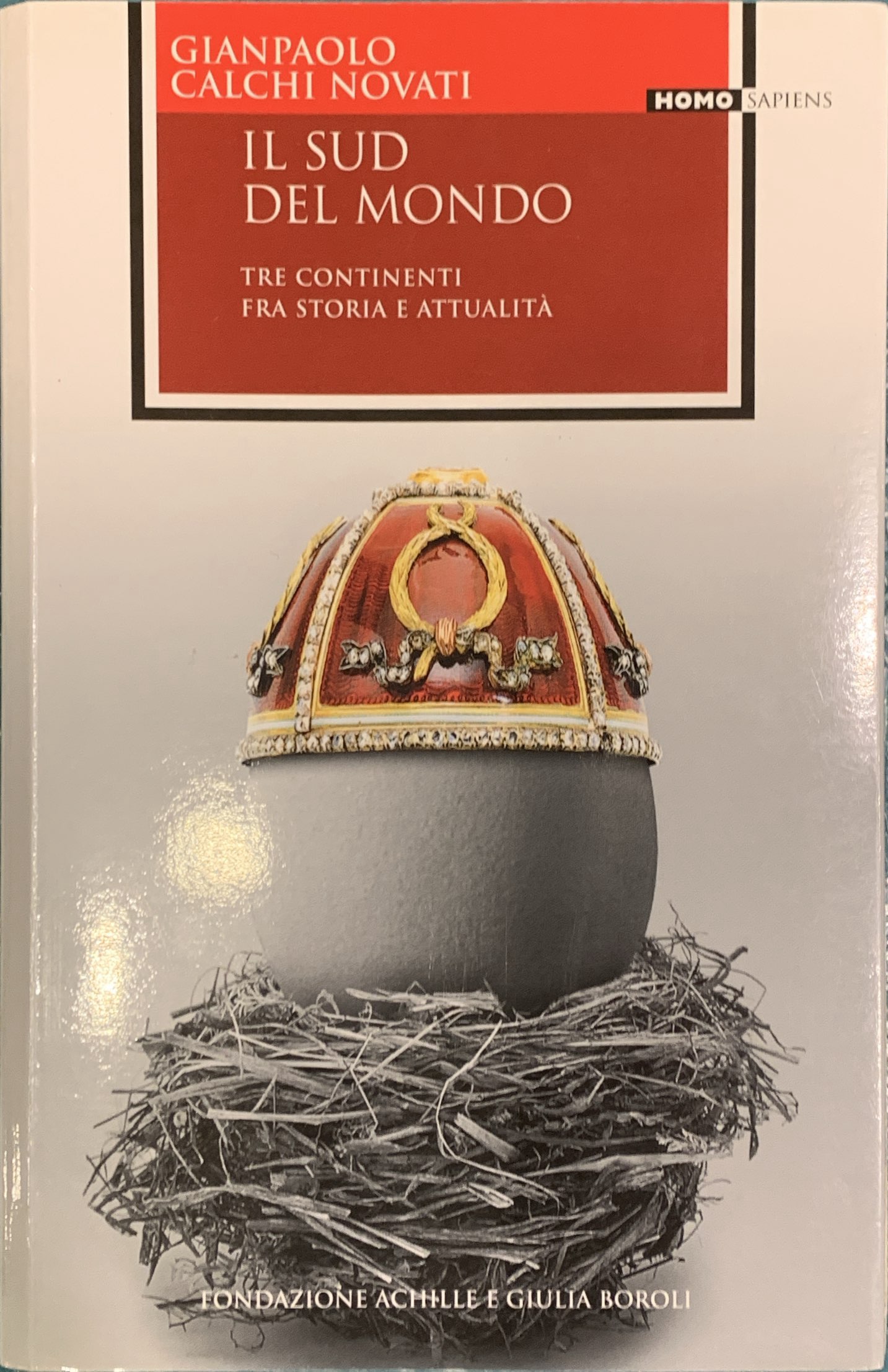 Il Sud del mondo. Tre continenti fra storia e attualità