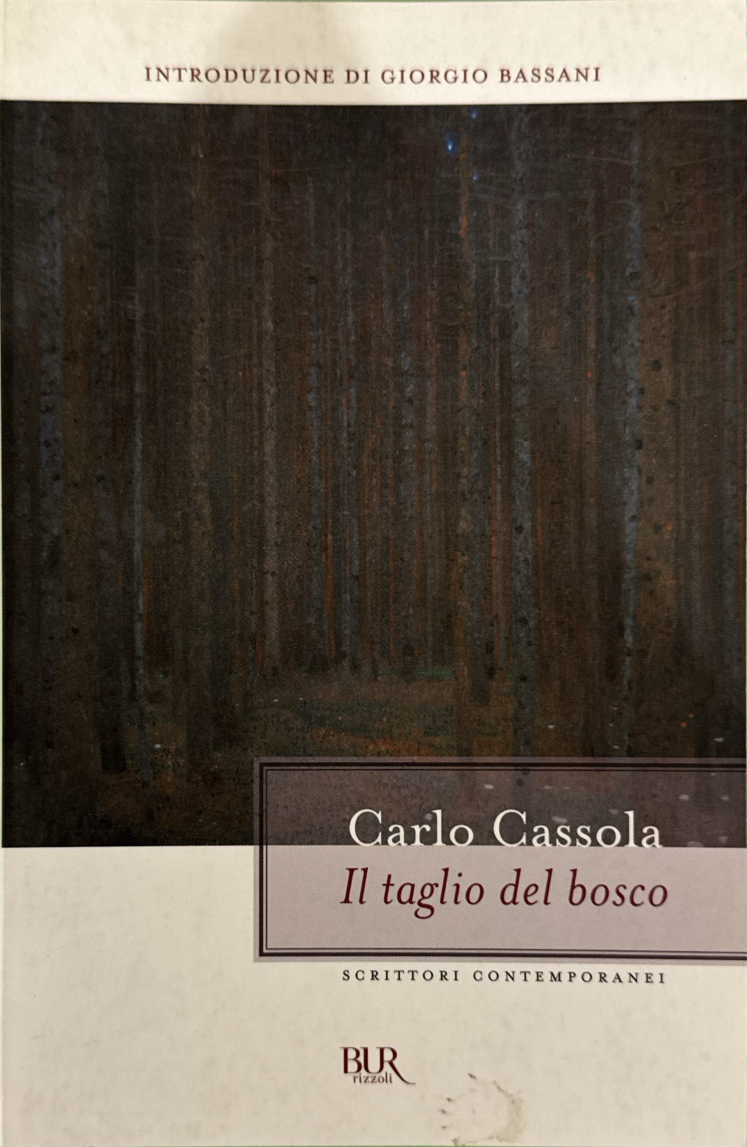 Il Taglio Del Bosco