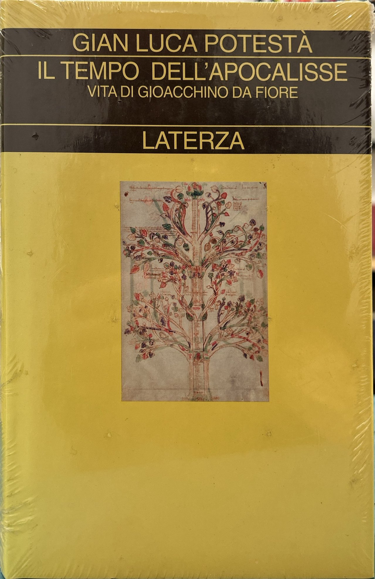 Il tempo dell'apocalisse. Vita di Gioacchino da Fiore
