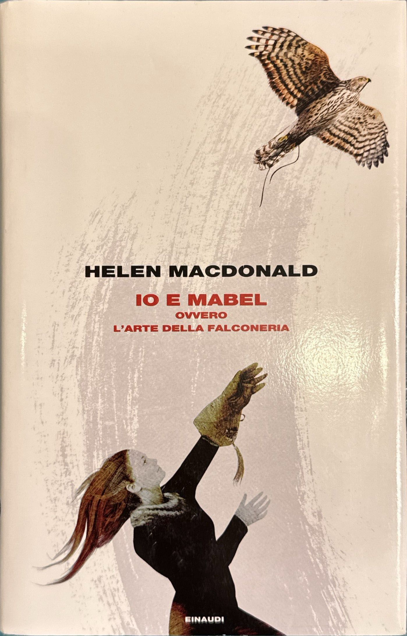 Io e Mabel. Ovvero l'arte della falconeria
