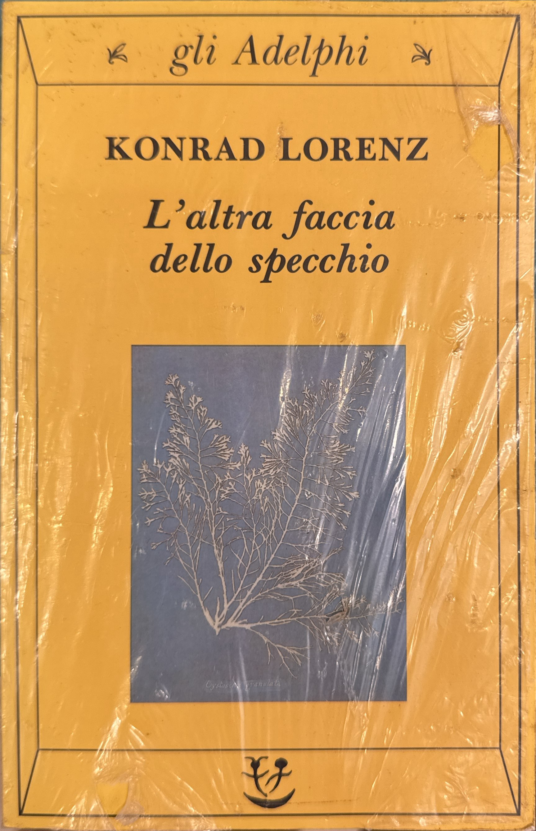 L' altra faccia dello specchio. Per una storia naturale della …