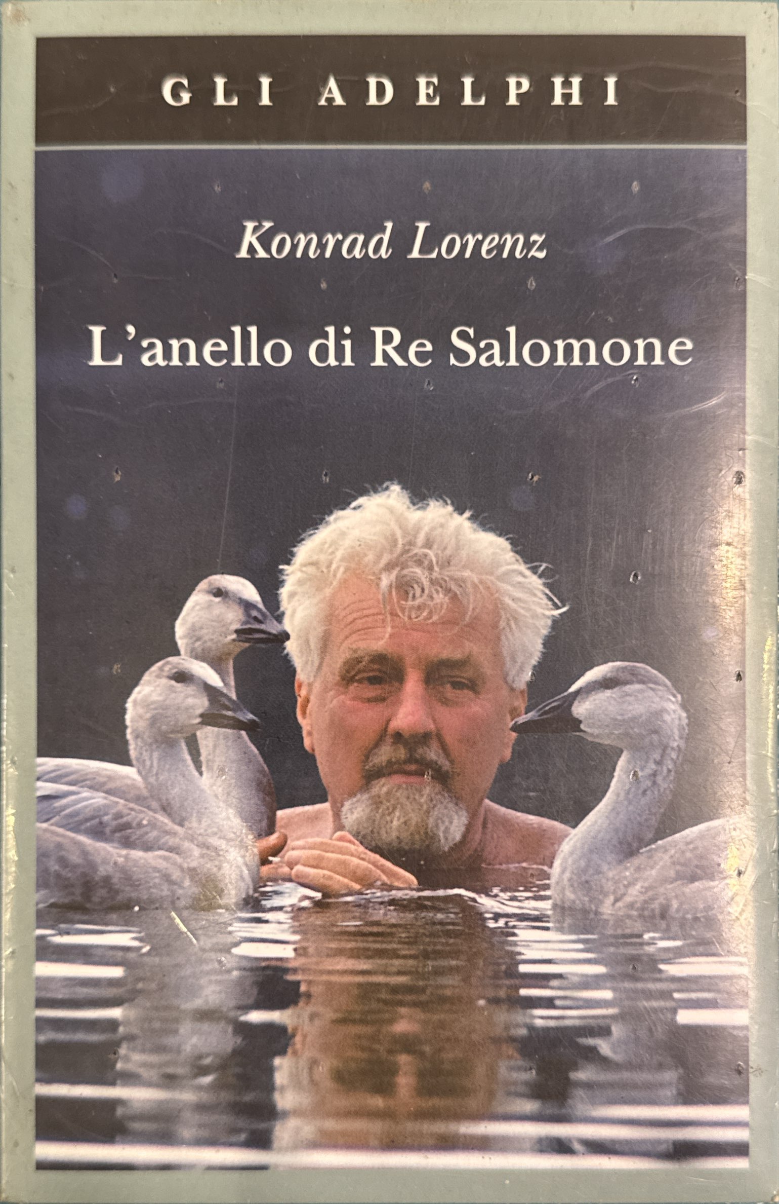 L'anello Di Re Salomone