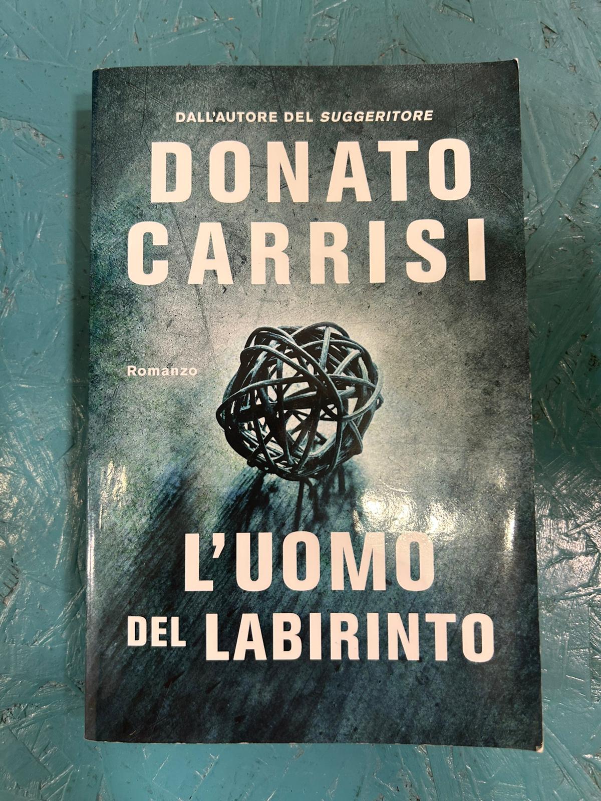 L'uomo del labirinto