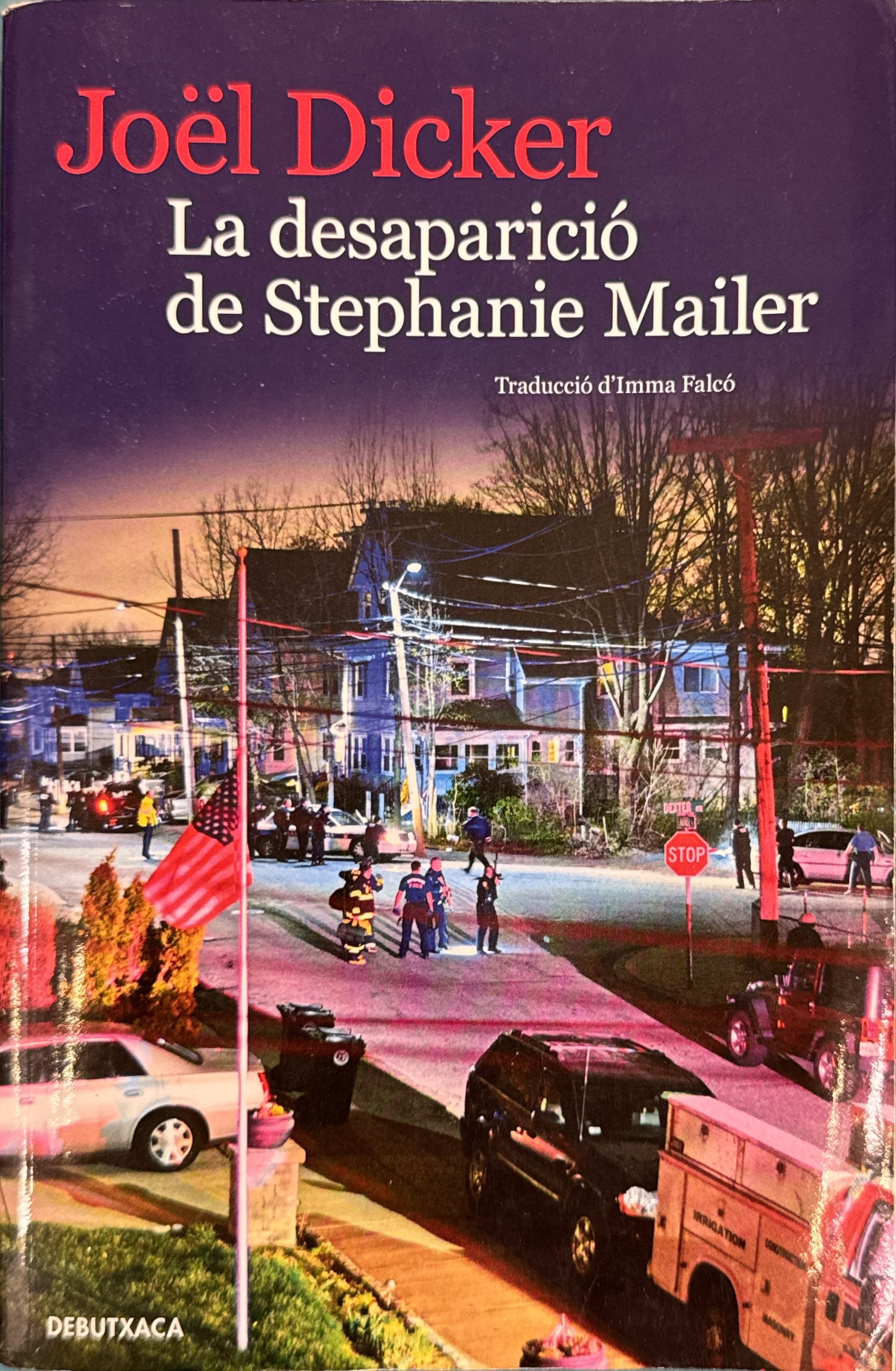 La desaparicio de Stephanie Mailer