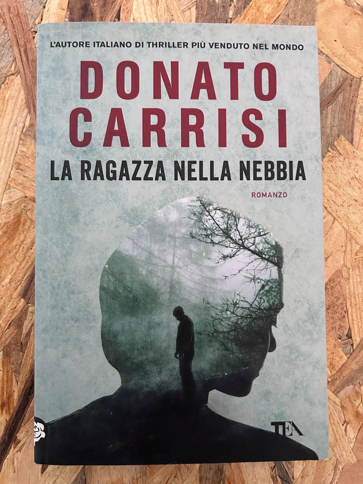 La ragazza nella nebbia