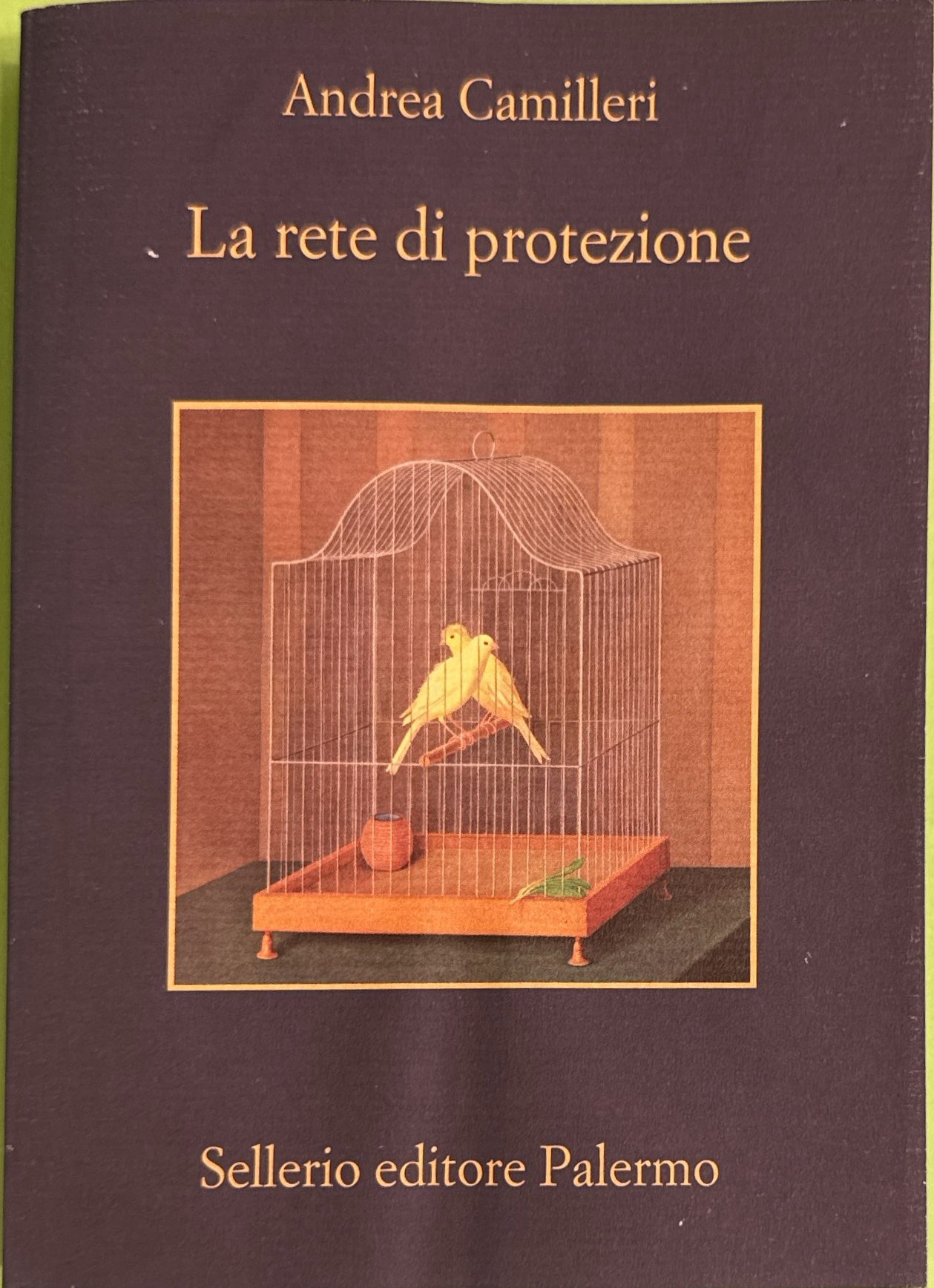 La rete di protezione