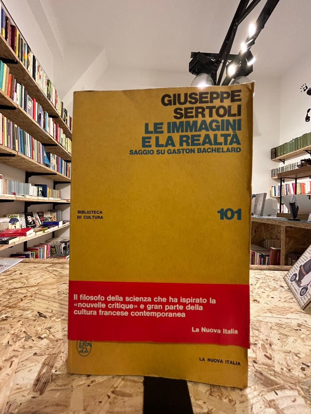 Le immagini e la realtà. Saggio su Gaston Bachelard