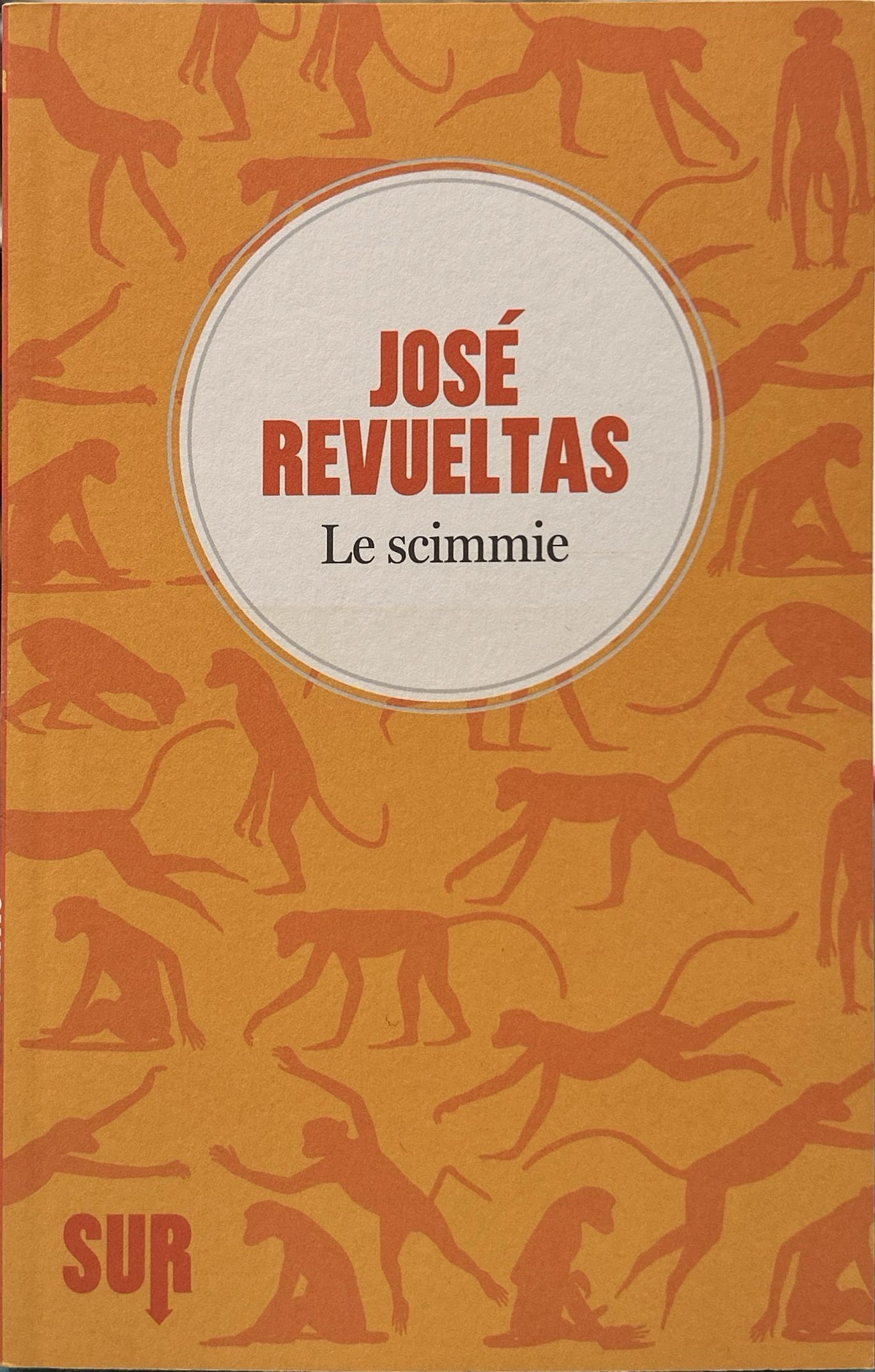 Le scimmie