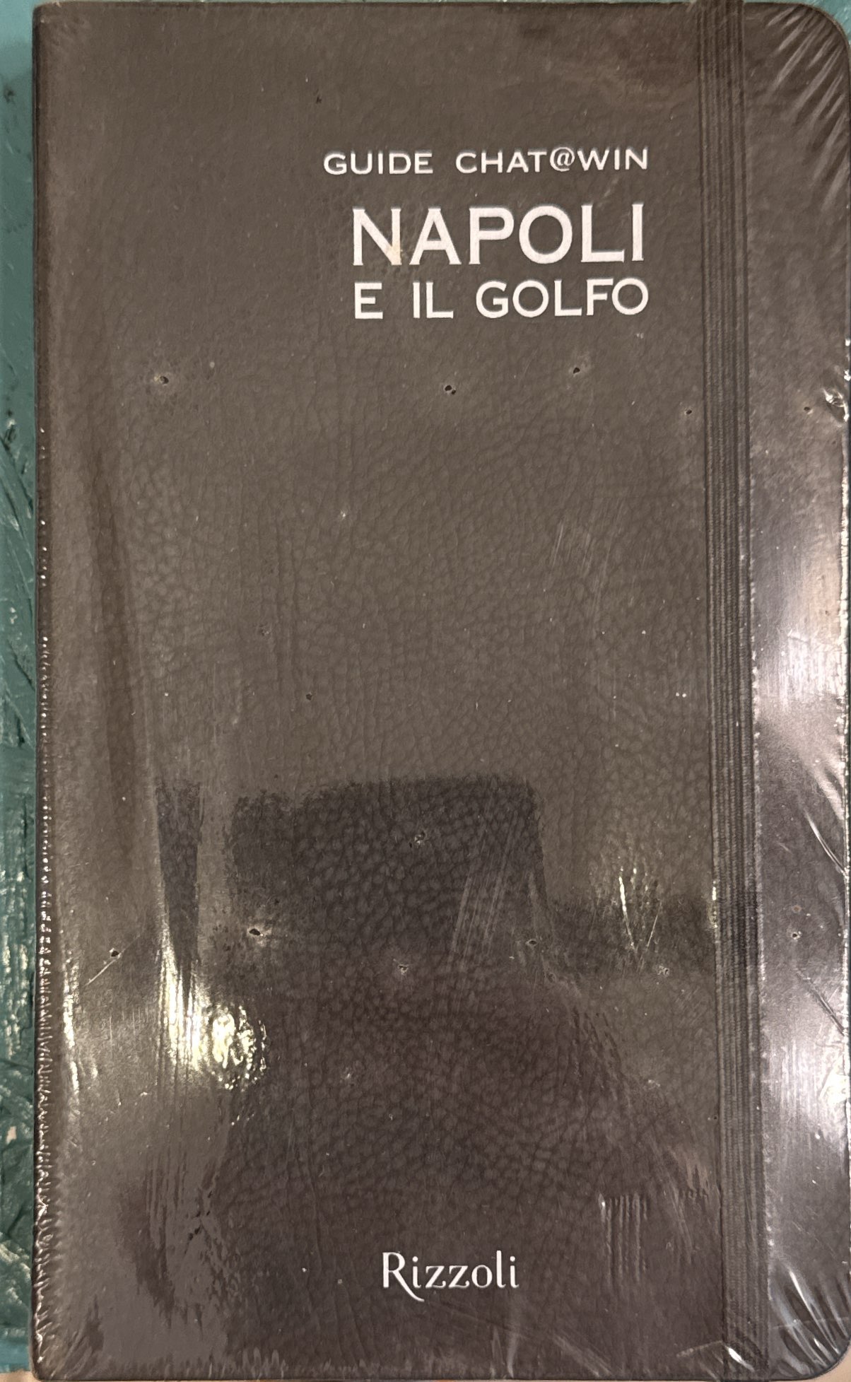 Napoli e il golfo. Guide Chat@win. Con cartina