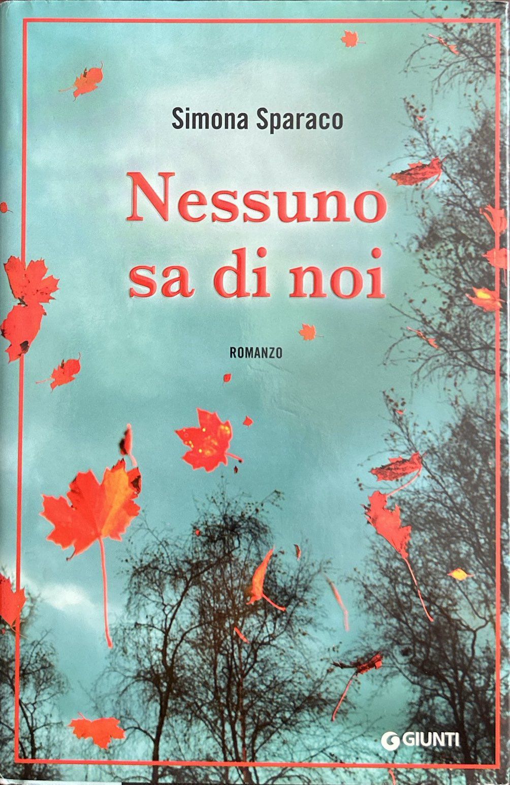 Nessuno sa di noi [romanzo]