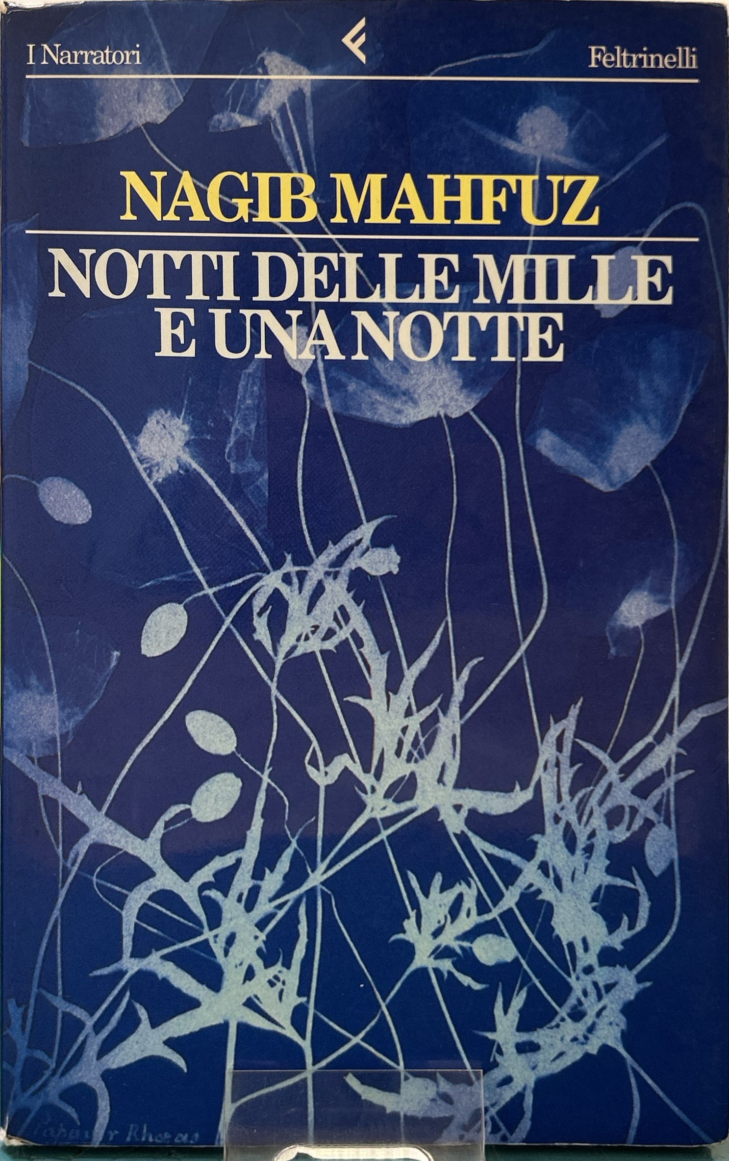 Notti delle mille e una notte