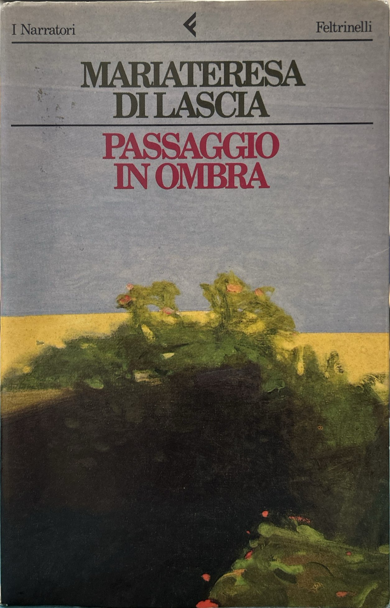 Passaggio in ombra