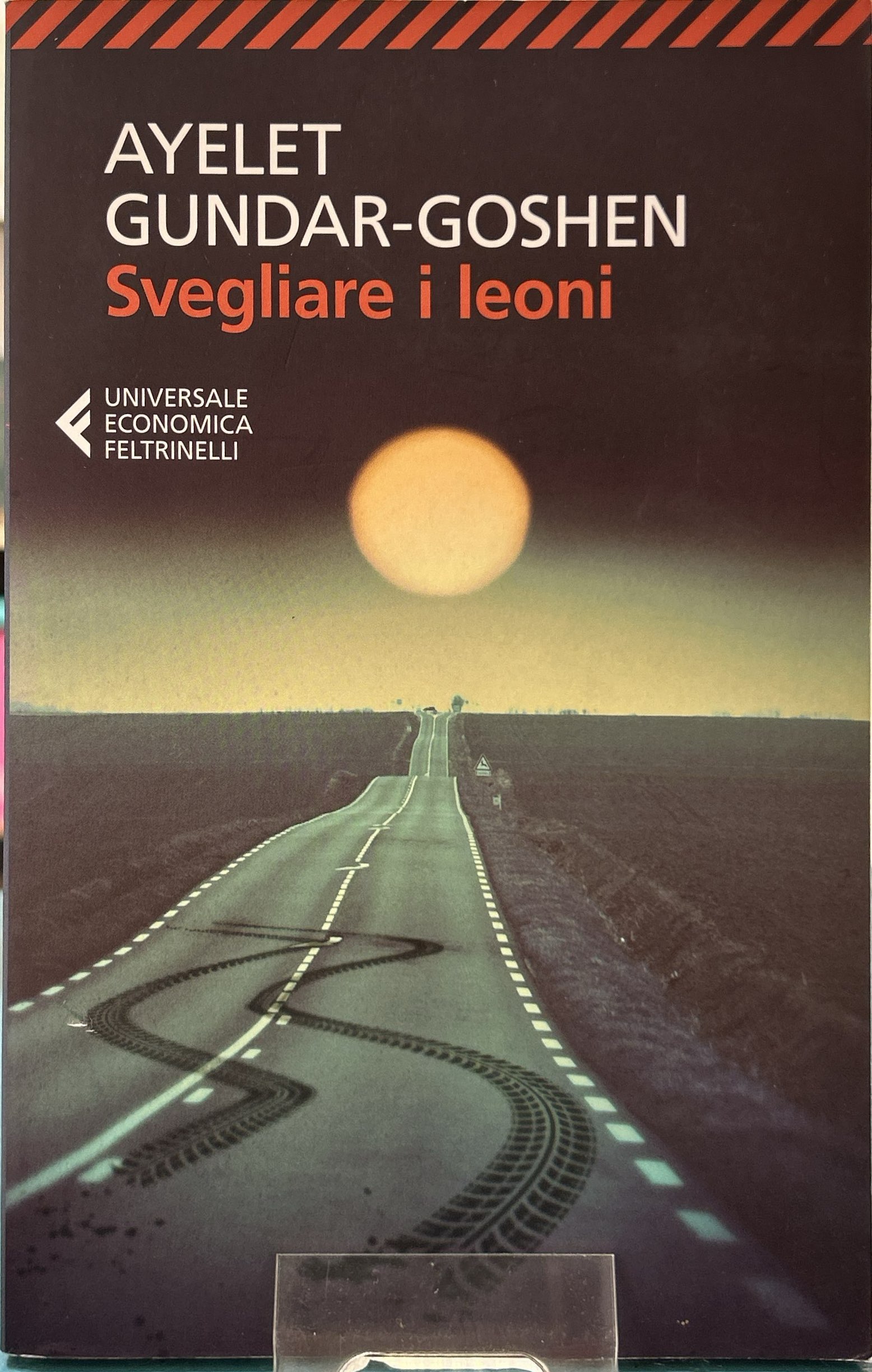 Svegliare i leoni